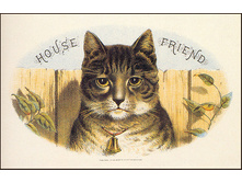14749464_1200326342_bscsiHouseFriend.jpg