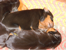 DSC08768.JPG