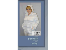 107.jpg