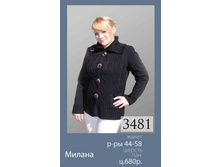 3481.jpg