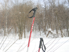 DSCN3424.JPG