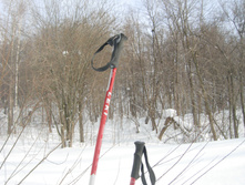 DSCN3426.JPG