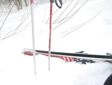 DSCN3427.JPG