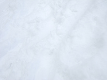 DSCN3444.JPG