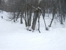 DSCN3446.JPG