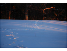 DSC_6769.jpg