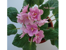 DSC04459.JPG