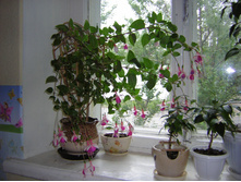 DSCN3077.JPG