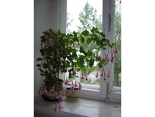 DSCN3078.JPG