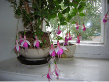 DSCN3080.JPG