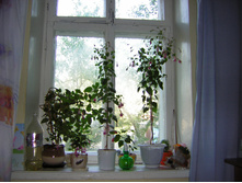 DSCN3099.JPG