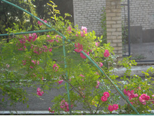 DSCN0020.JPG