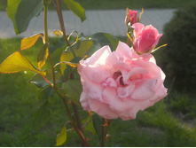 DSCN0027.JPG