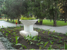 DSCN0029.JPG