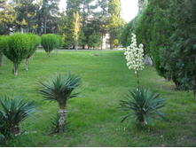 DSCN0039.JPG