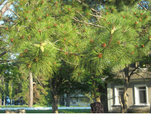 DSCN0040.JPG