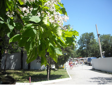 DSCN0047.JPG