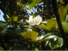 DSCN0067.JPG