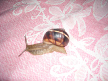 DSCN0090.JPG