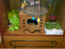 IMG00161-20110331-1549.jpg