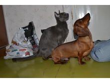 DSC_0834.JPG