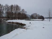 IMG_1014.jpg