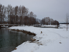 IMG_1015.jpg