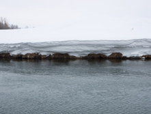 IMG_1016.jpg
