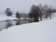 IMG_1039.jpg