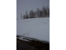 IMG_1043.jpg