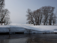 IMG_1051.jpg