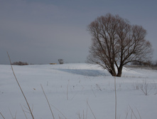 IMG_1052.jpg