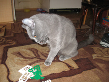 IMG_3887.jpg