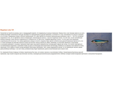 Megabass Lates 120.jpg
