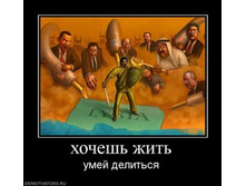 416411_hochesh-zhit.thumbnail.jpg
