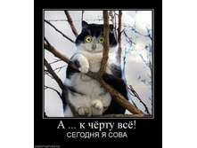 668370_a--k-chyortu-vsyo.thumbnail.jpg