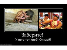 532420_zaberite-.thumbnail.jpg