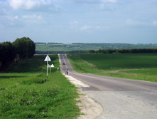 IMG_1446.jpg