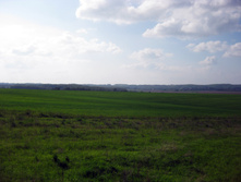 IMG_1455.jpg