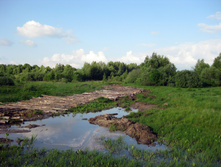 IMG_1473.jpg