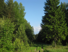 IMG_1476.jpg