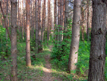 IMG_1487.jpg