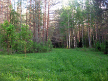 IMG_1489.jpg