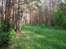 IMG_1490.jpg