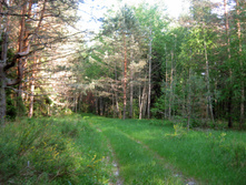 IMG_1498.jpg