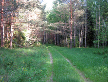 IMG_1499.jpg