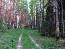 IMG_1501.jpg