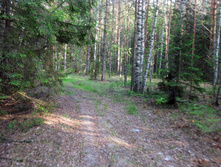 IMG_1506.jpg