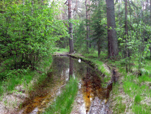 IMG_1509.jpg