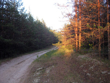 IMG_1548.jpg